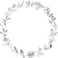 Illustration elements garden herb and summer flowers. hand drawing.